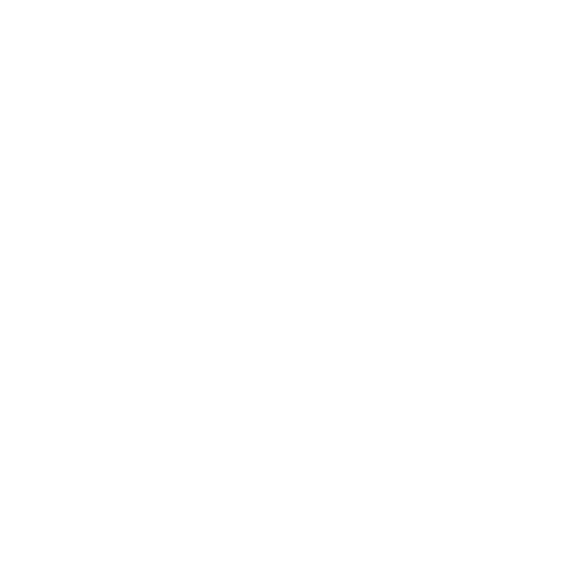 Sepatu Icon